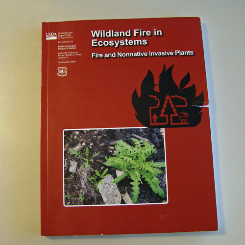 Wildland Fire in Ecosystems: Fire and Nonnative Invasive Plants - Picture 1 of 1