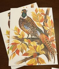 9 BIRD Greeting Note Cards Beautiful Designs Blank Inside W/ Envelopes USA