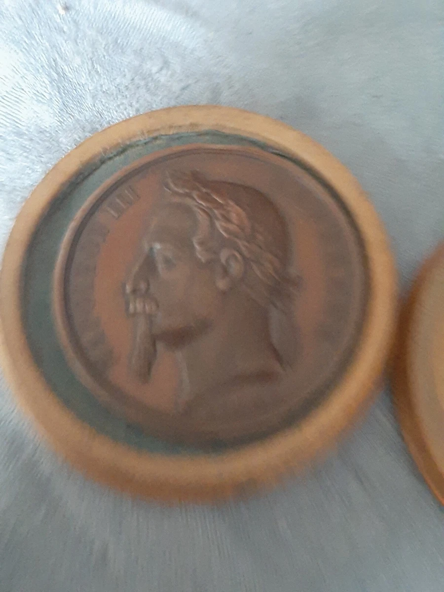 Médaille Comice Agricole De Mirande – 1891, Bronze, XIXe Siècle