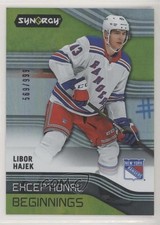 2019-20 Upper Deck Synergy Exceptional Beginnings 569/999 Libor Hajek #EB-22 z6b