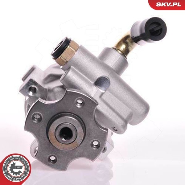 Esen SKV Hydraulikpumpe, Lenkung 10SKV133 FüR CitroËN Peugeot-image
