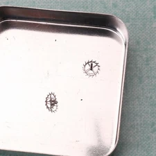 NOS Peseux 250 P250 Escape Wheel Genuine Swiss Watch Part (C14D16)