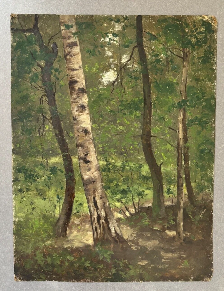 Arthur Perdreau (xixe-xxe), Etude d'Arbre: Bouleau, Ecole De Barbizon, Huile Sur - Photo 2/3