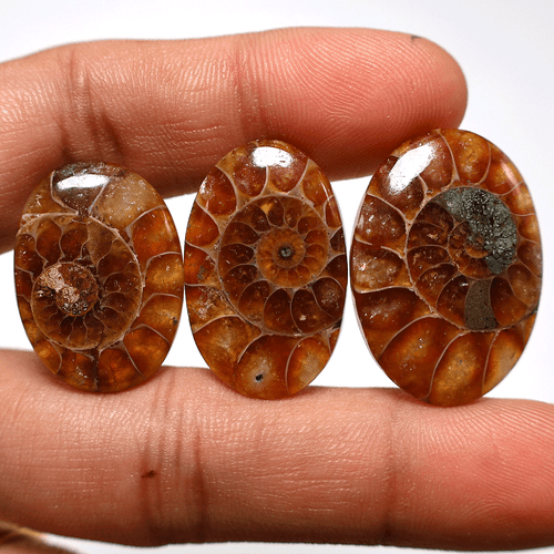 3 PC Natural Ammonite Fossil Untreated 25-30mm Oval Cabochon Gemstones~ 74.7 CTS - Picture 9 of 10