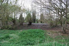 Photo 6x4 Medway Valley Line from the Medway Valley Way near Nettlestead  c2009