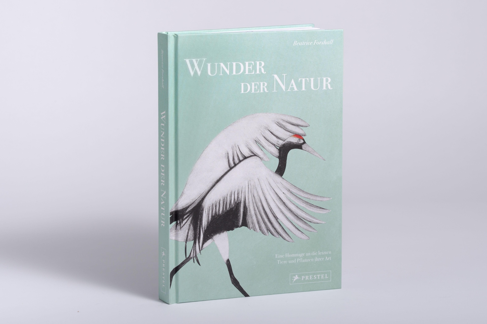 Thumbnail - Wunder Der Natur Beatrice Forshall Buch 256 S. Deutsch 2023 Prestel
