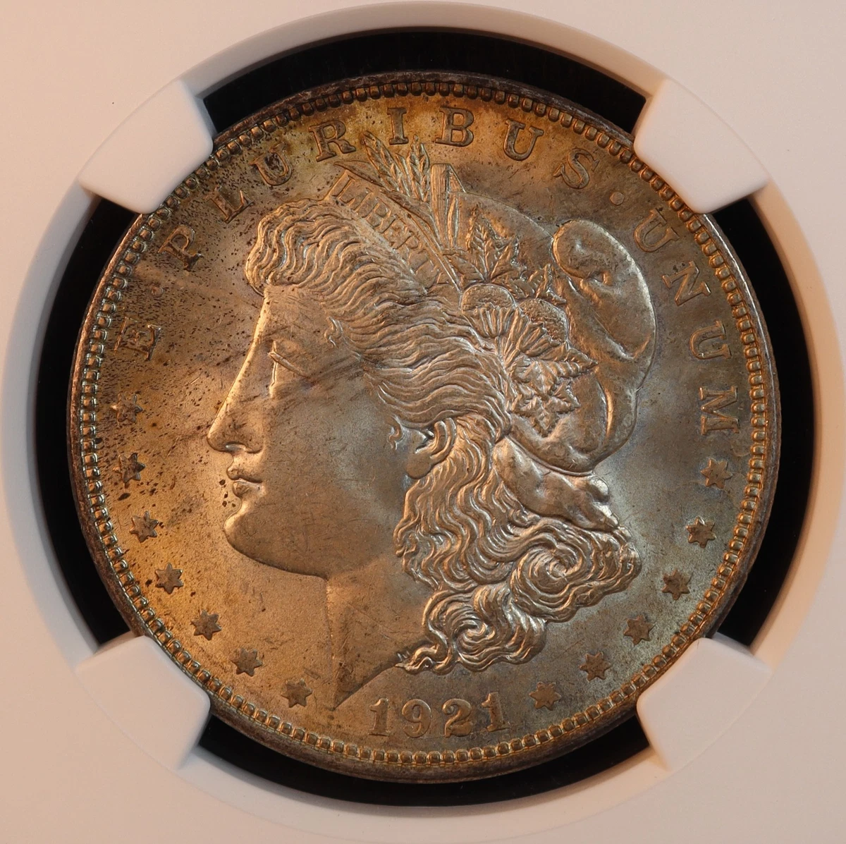 MS 64 Graded 1921 Year Morgan US Dollars (1878-1921) Just Listed 2026