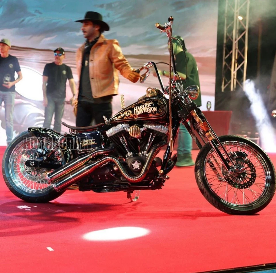 Sistema de escape personalizado para Harley Davidson modelo 2-2 Foto 3 de 4