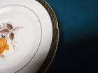 Vermillion Rose Limoges Saucer 22K Pattern Set Of 9  Vintage Triumph American — photo 8