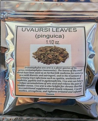 Uva Ursi Leaves - Dried Arctostaphylos Uva-ursi Whole Leaves 100% from Nature