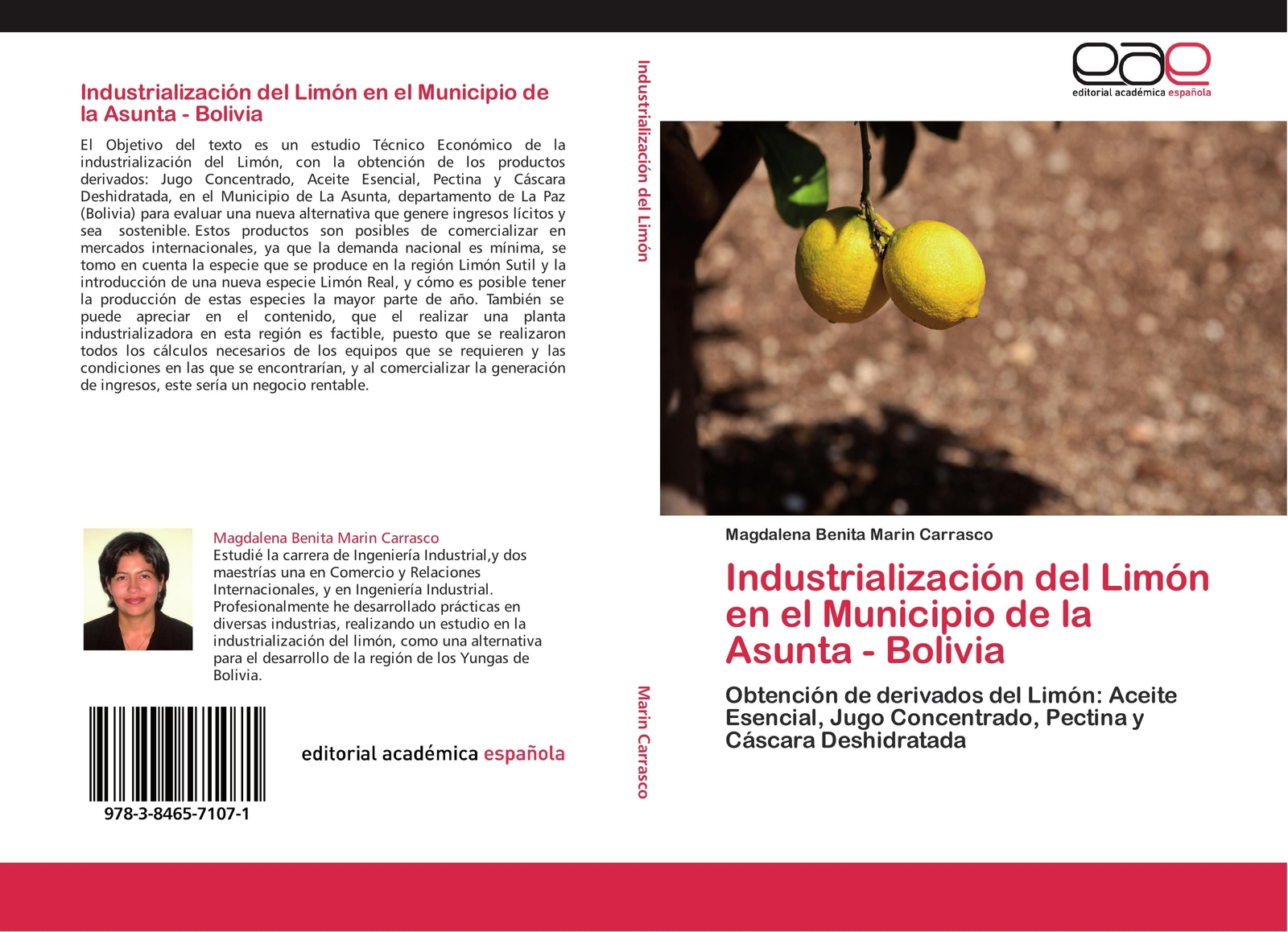 Thumbnail - Magdalena Benita Marin Carrasco | Industrialización Del Limón En El