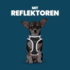 Bild 6 von 23