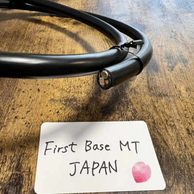 oyaide Black Mamba V2 1.0 Meter Audio Power Cable for sale online