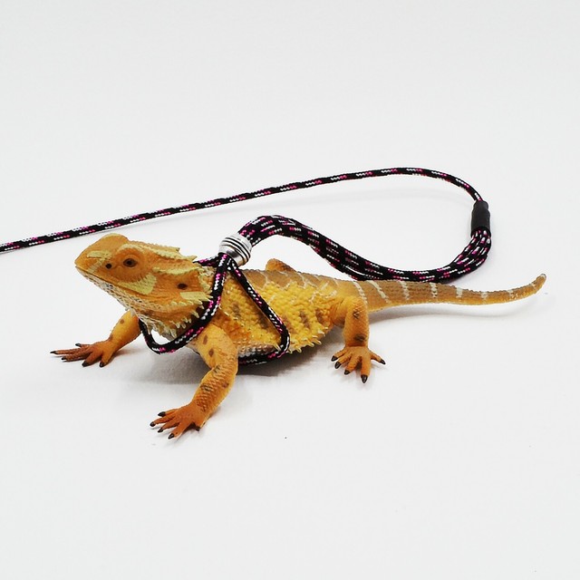 Bearded dragon leash, Reptile adjustable leash, Iguana leash, Reptile