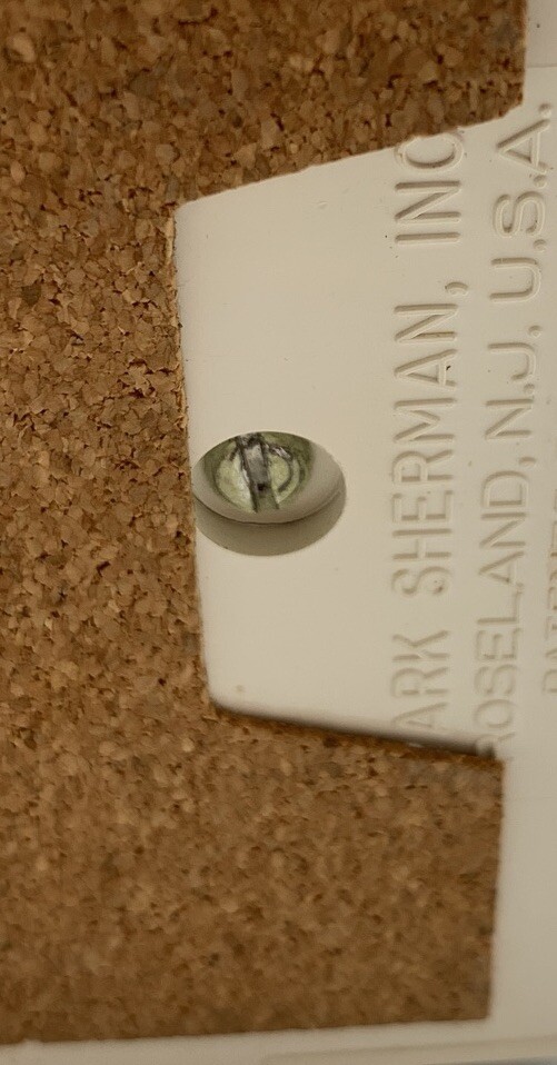 Picture 7 of 8