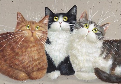 Bruno, Sammy & Milo ~ von Kim Haskins ~ leere Grußkarte lustige Katzen