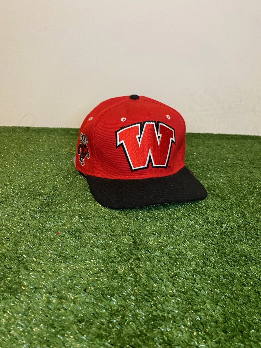 Wisconsin badgers fitted hat hotsell