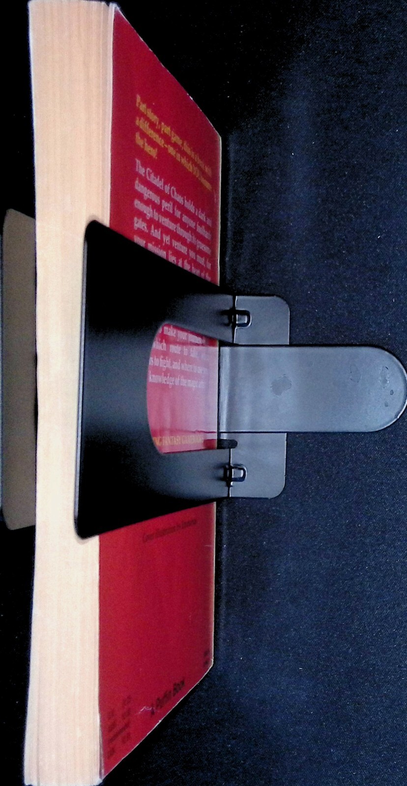 Picture 4