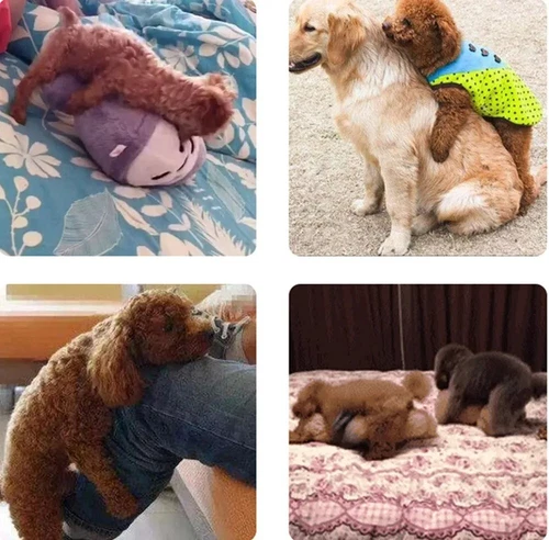 Dog Mating Toys Simulation Plush Pet Sex Play Silicone Vent Stress Reliever Tool - Picture 21 of 24