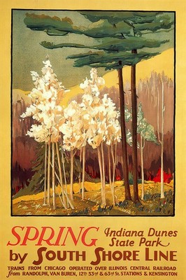 366550 Spring Indiana Blooming Trees Dunes Park Travel Wall Print Poster