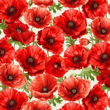Timeless Treasures Poppy Passion Large Red Poppy Cotton Fabric by the Yard
