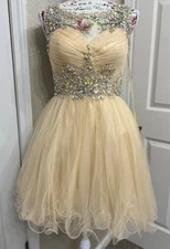 Aspeed Women's Tulle Drees Size XS New