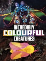 Incredibly Colourful Creatures | Megan Cooley Peterson | Englisch | Buch | 2023
