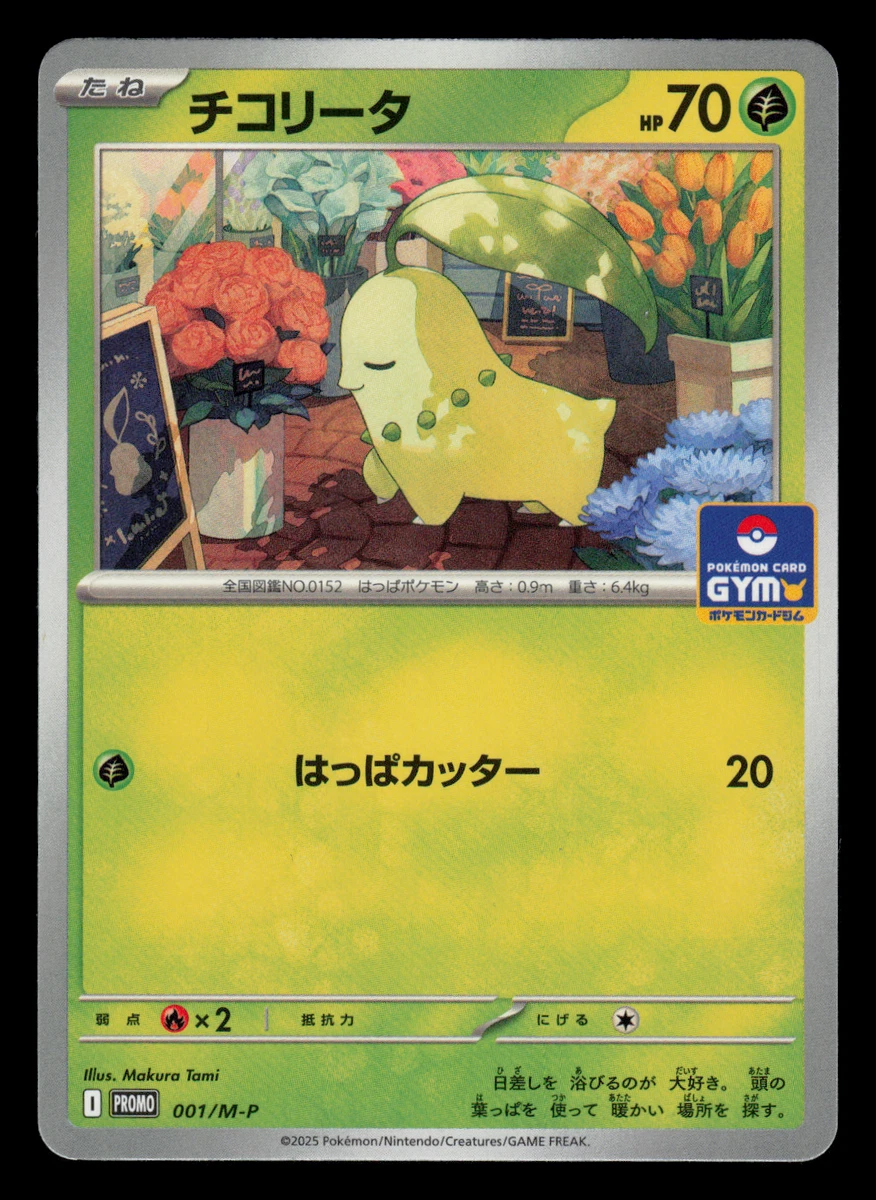 Chikorita Pokémon TCG Cards for sale