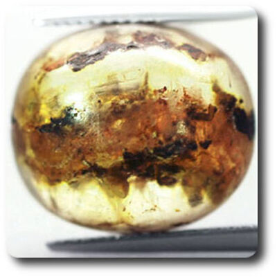 6,31 cts COPAL MIT INSEKT Madagaskar.