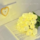 Foto 7 di 22
