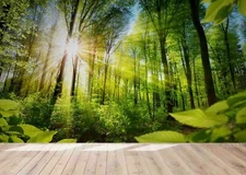 3D Forest Sunlight Wallpaper Wall Mural Removable Self-adhesive Sticker9692