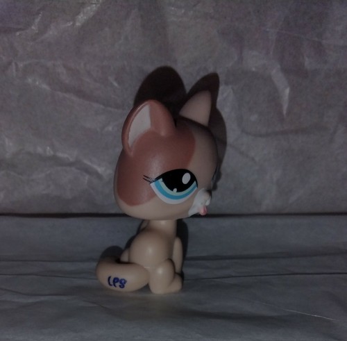LPS Littlest Pet Shop Cat Kitty Licking Paw Blue Eyes #1363 Brown Patch On Ear - Picture 3 of 3