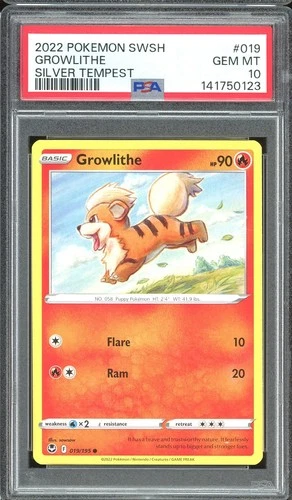Pokemon TCG SWSH Silver Tempest #019 Growlithe PSA 10