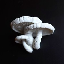 Wall Shelf "EDODES FUNGUS" Organic Design, Decorative and Functional Wall Decor,