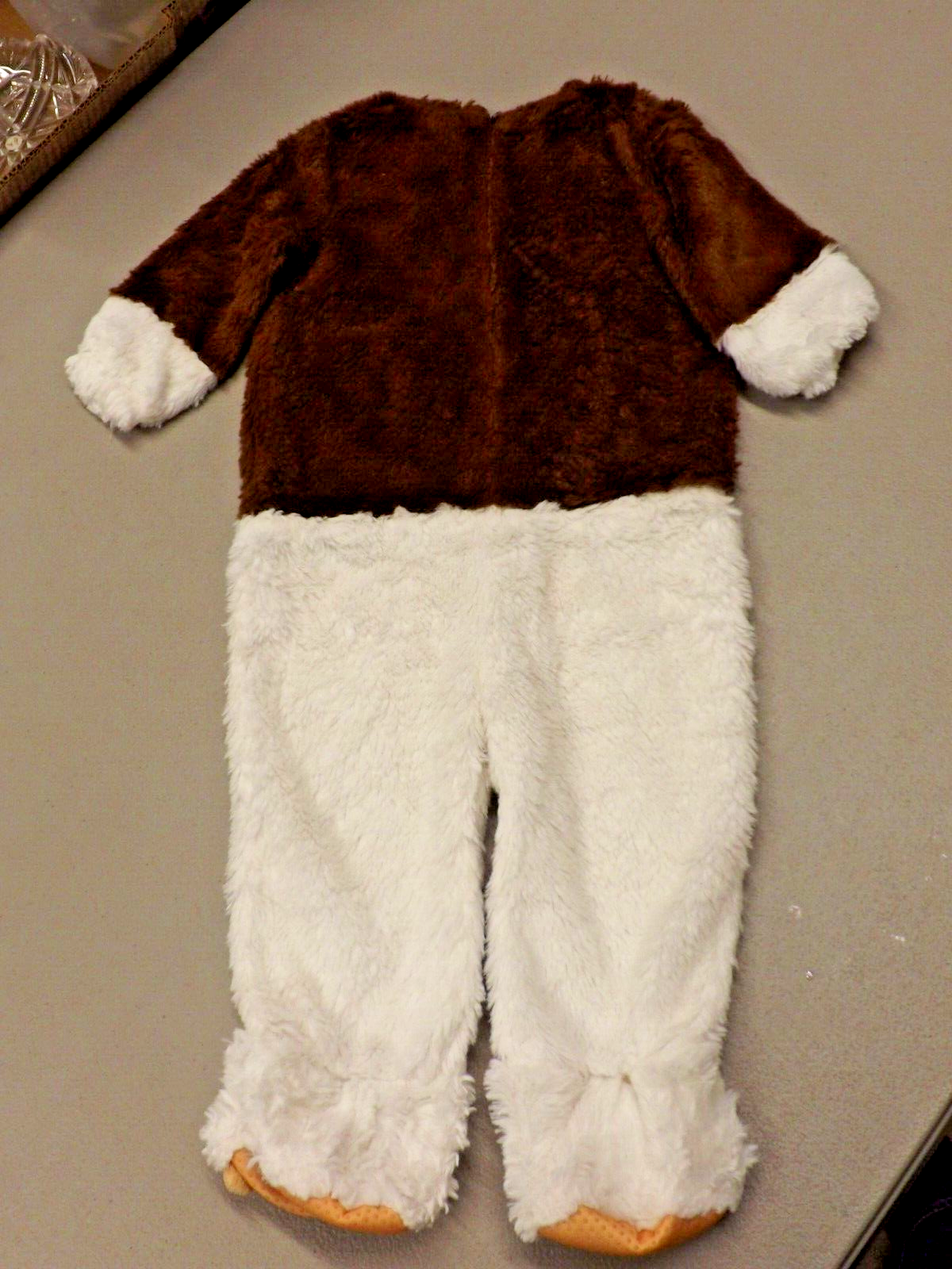 Picture 5 of 5