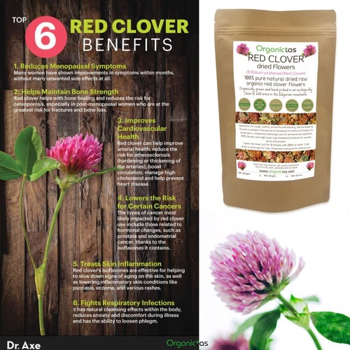 TRÉBOL ROJO orgánico Flor Flor Té Suelto Mejor Calidad Premium 25g - 100g - Imagen 6 de 12