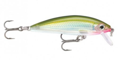 Rapala X-Rap CountDown 05 XRCD05-OG olivgrün 2 Zoll 1/8 Unzen Köder Count Down - Bild 1 von 1