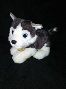miyoni tots husky