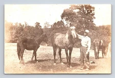 RPPC Man Tending to Three Horses at Farm Real Photo Postcard