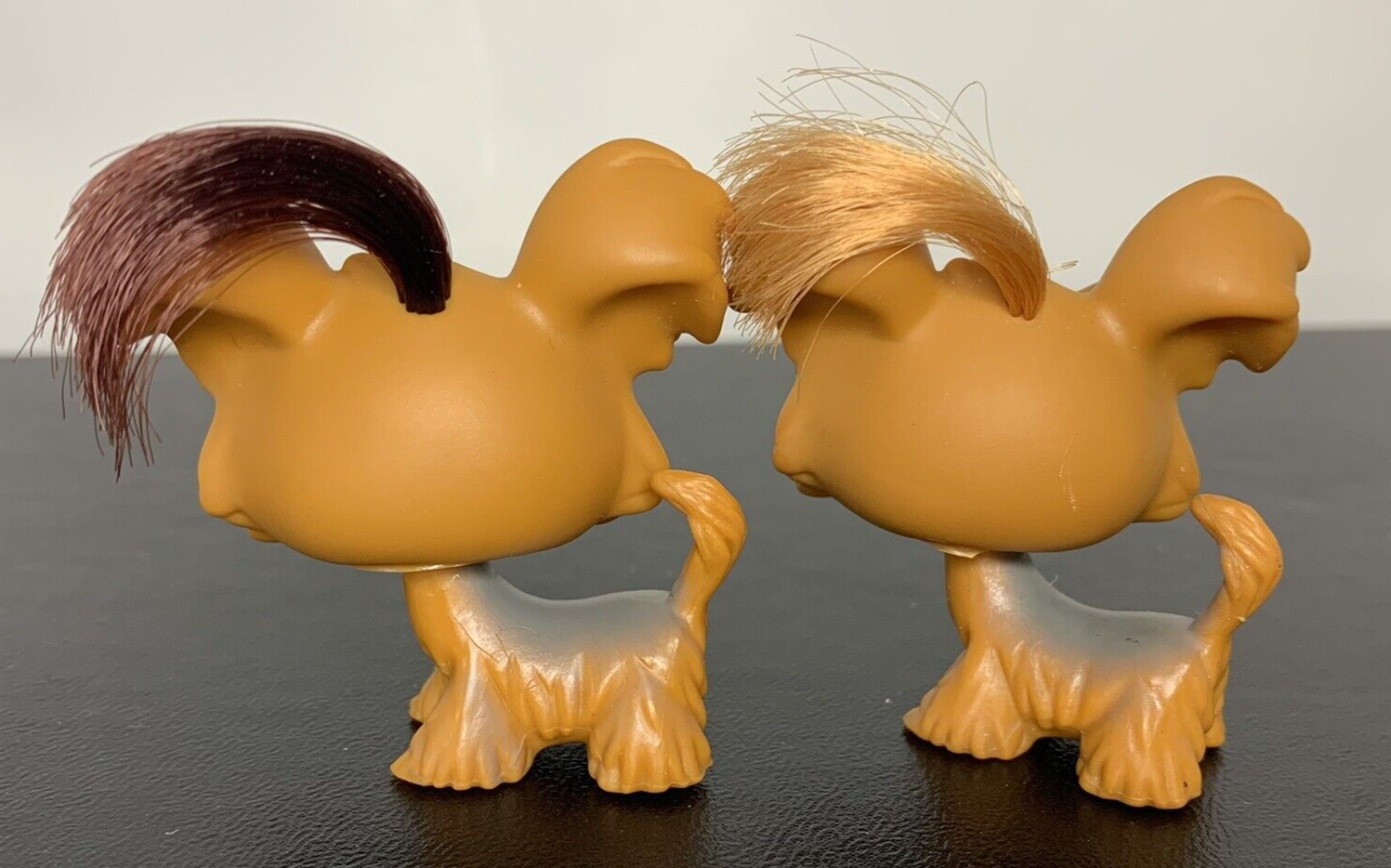 Littlest Pet Shop Shih Tzu Dog 6 Blue Eyes Both Variants Hair Shi