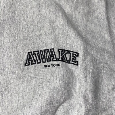 ぬーん(・ω・) Awake NY Mens Gray Stripe Pockets Blocked Logo Hoodie Cotton