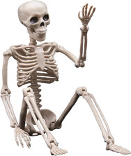 Halloween Skeleton Decorations - 16Inch Plastic Full Body Posable Skeleton, Smal