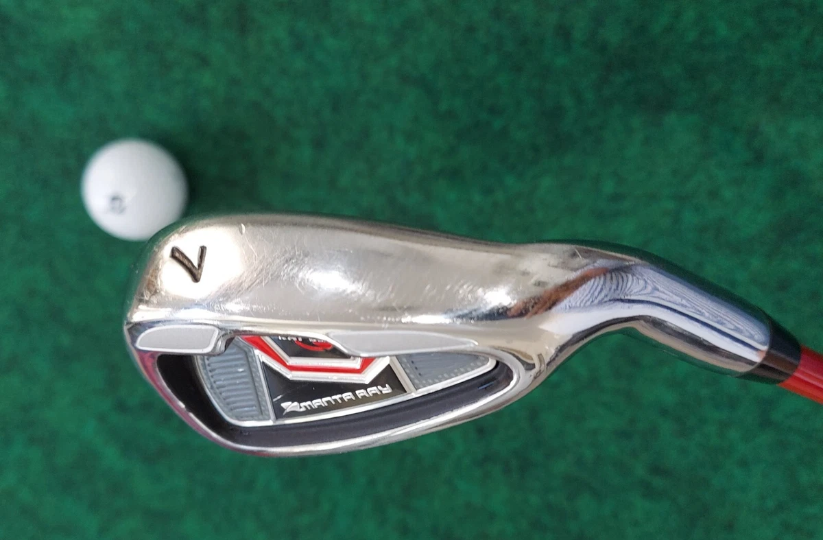 Ray Cook Graphite Shaft Golf Clubs for sale | eBay
