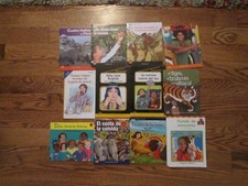 Lot of 12 Children's LEVELED READER Books in SPANISH