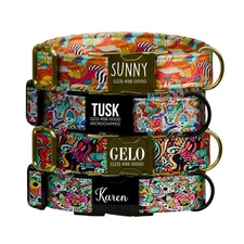 Personalized Vibrant Geometric Dog Collar with Name Engraved Custom Name Dog