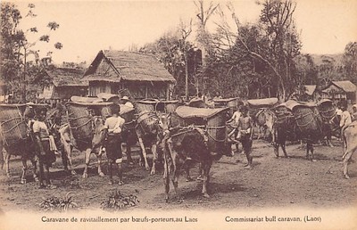 Laos - A supply caravan by oxen-bearers - Publ. Mission étrangères de Paris  - -