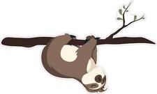 Sloth Hanging from Tree Limb Sticker Car Truck Vehicle Bumper Decal