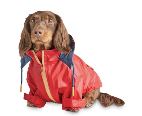 reddy dog raincoat