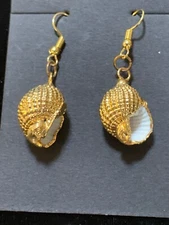 24K Gold Dipped Snail Shell Earrings 3/4" wide x 1 1/4" long