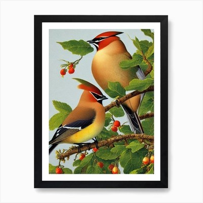 Cedar Waxwing Haeckel Style Vintage Framed Wall Art Poster Canvas Print Picture